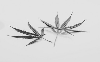 Детоксикация от наркотиков в Рамони